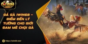 da-ga-iwin68